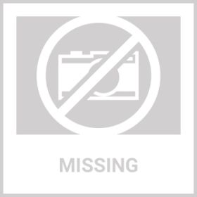 Dog Flea And Tick Treatment Chews FleaTick Prevention For Dogs Chewables Natural Dog Flea & Tick Control Soft Treats Immune Support Supplement (Option: Chewia)